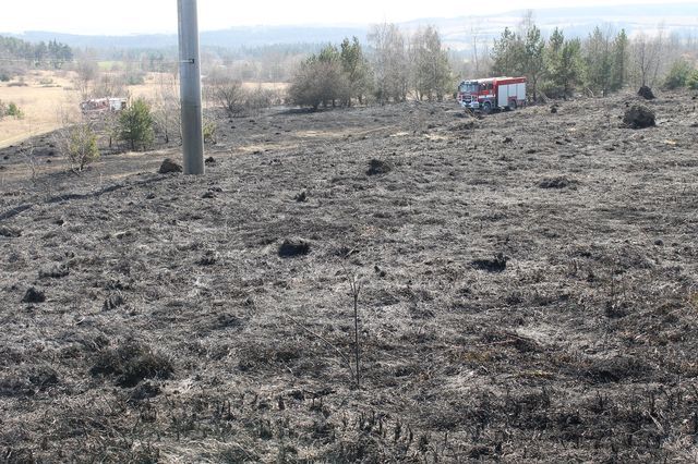 obrázek: Shořely čtyři hektary lesa a trávy na Šibeničním vrchu 