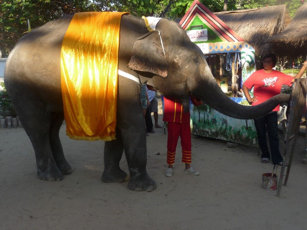obrázek: Sloni jsou plzeňské zoo opět blíž, město mění pozemky