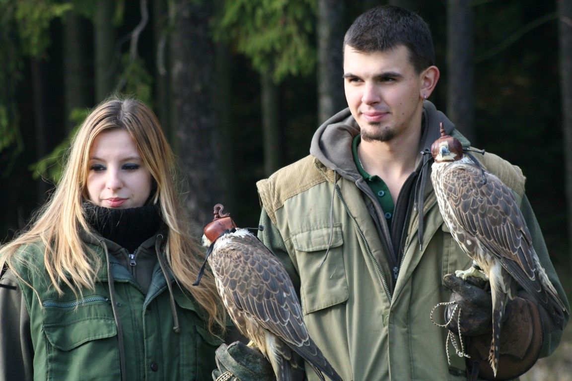obrázek: Sokolnictví získává na Rokycansku své příznivce