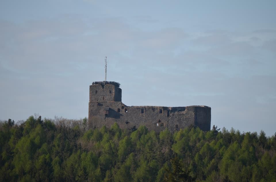 obrázek: Soutěž o lístky do letního kina Na Radyni!
