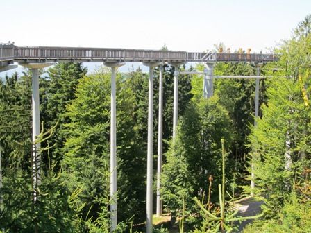 obrázek: Stezka v Bavorsku nabízí procházku v korunách stromů