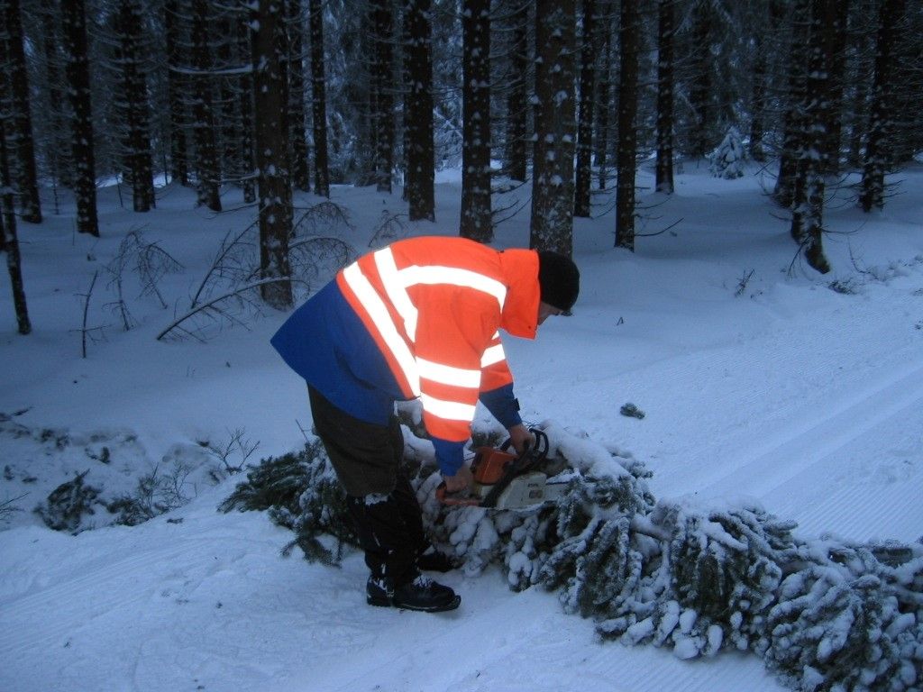 obrázek: Strážní služba Šumava odklízela následky sněhové bouře 