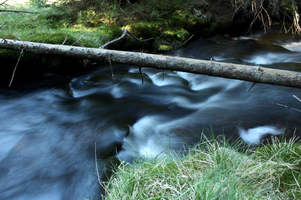 obrázek: Studenti fotili nádhernou řeku Vydru. Podívejte se