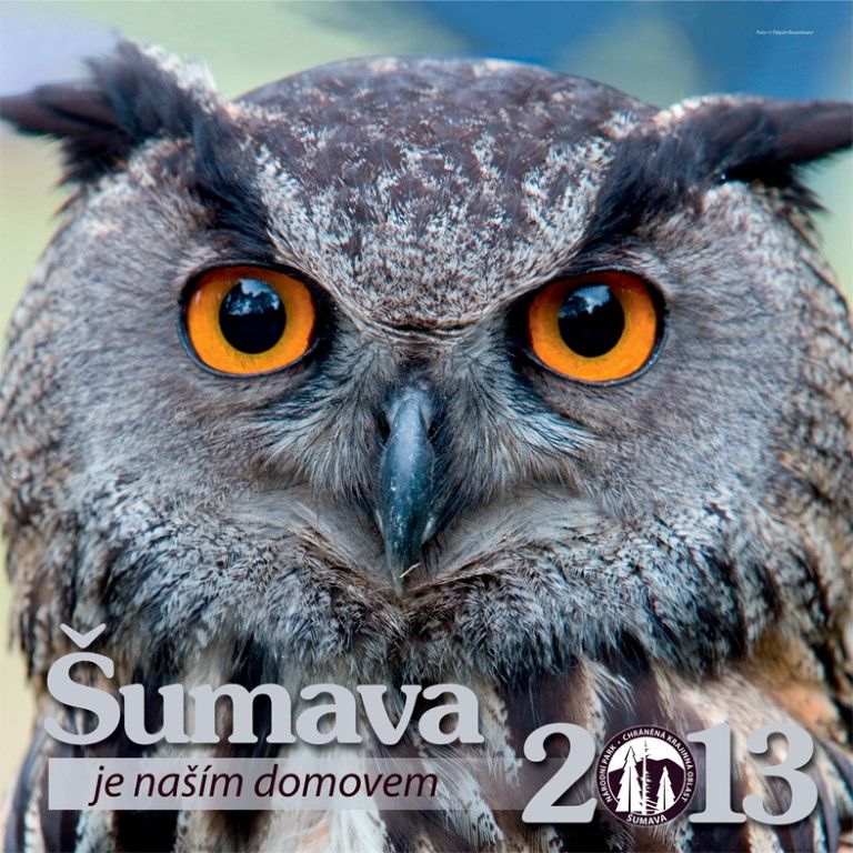obrázek: Šumava má nový kalendář na příští rok. Se zvířaty