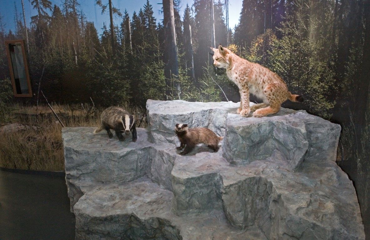 obrázek: Šumavská Kvilda má nové informační středislo