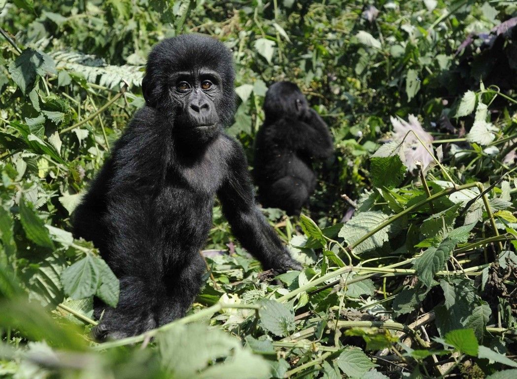 obrázek: Techmania nově nabízí přírodovědné přednášky
