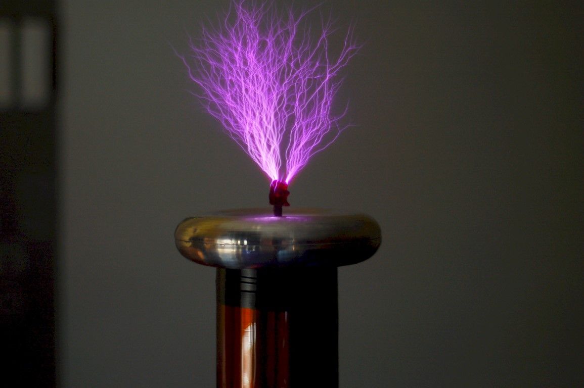 obrázek: Techmania představuje vzpouru medvědů za pár vteřin