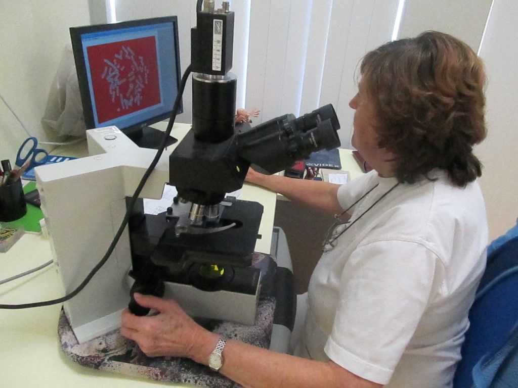 obrázek: Tým Genetiky Plzeň posílila profesorka Ulčová-Gallová 