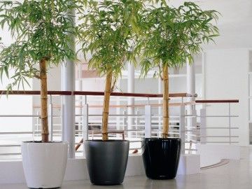 obrázek: Uzávěrka Teendesignu 2012 je tu  