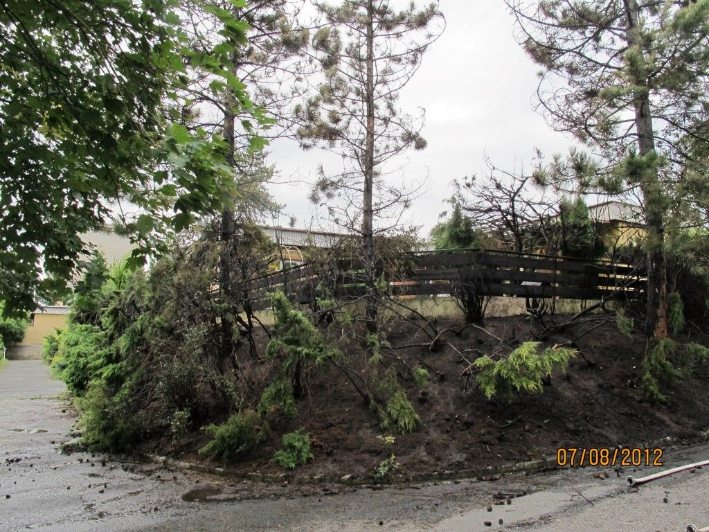 obrázek: V Lobzích žhář zapaluje kontejnery a keře 