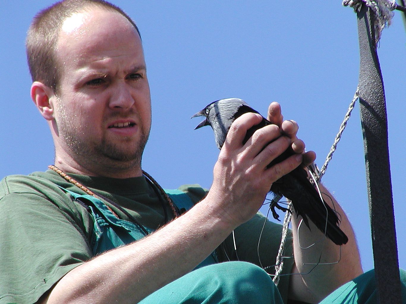 obrázek: V neděli slaví dvacetiny plzeňští zvířecí záchranáři