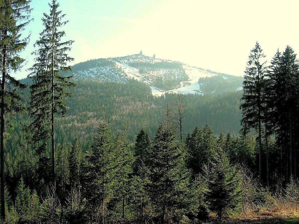obrázek: Více než polovina návštěvníků přijíždí na Javor z Čech