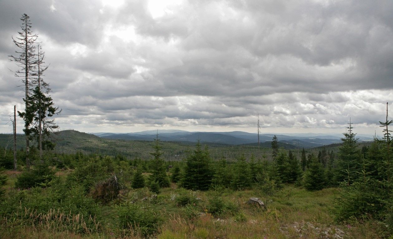 obrázek: Z nové vyhlídky je možné pozorovat Šumavu i Alpy