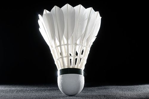 obrázek: Badmintonová extraliga po sedmi letech v Plzni