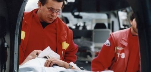 obrázek: Mladíka na Rokycansku pokousal pes