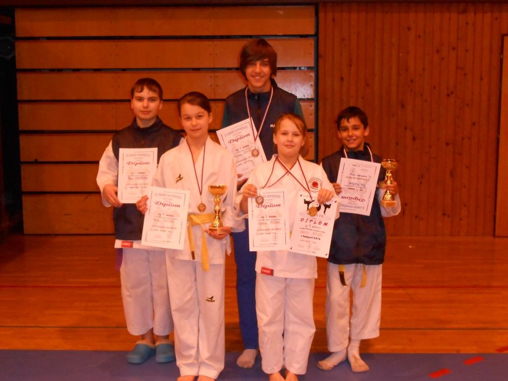 obrázek: Bojovníci Naramy uspěli na Chodském poháru v karate