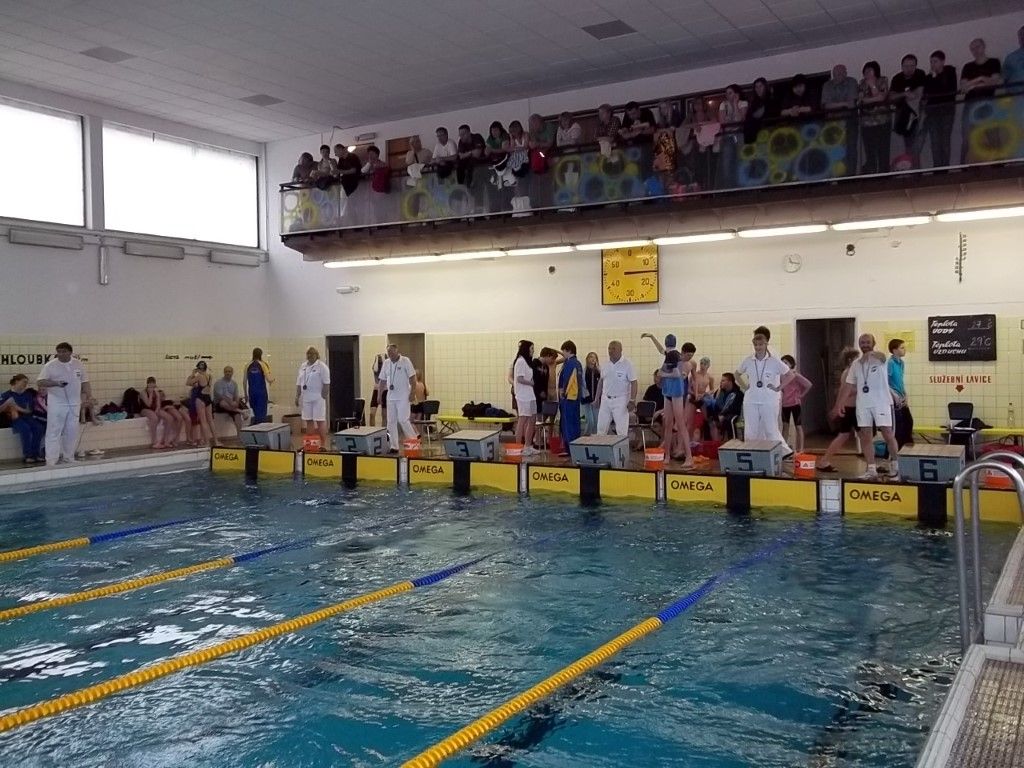 obrázek: Centrální obvod má zájem zachránit plzeňský bazén 