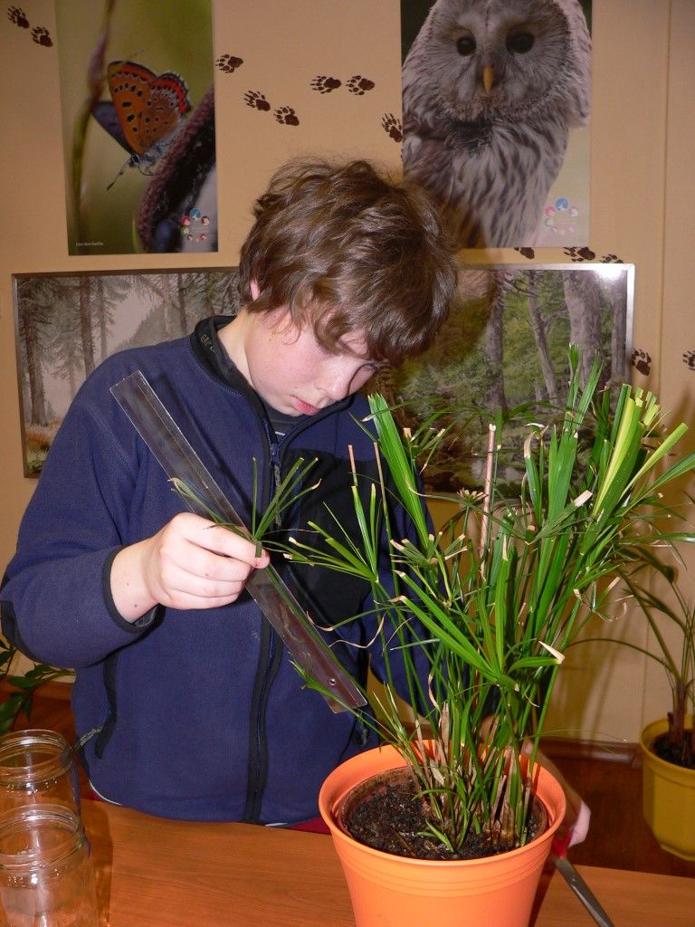 obrázek: Děti se na Šumavě naučí nejen více ze života bobrů