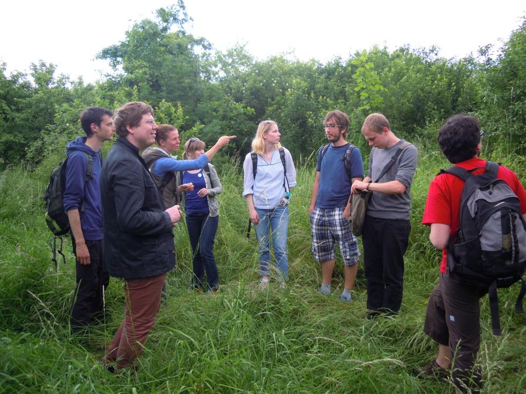 obrázek: Dobrovolníci z celého světa přijeli do Plzně pěstovat prostor 