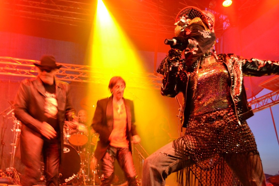 obrázek: Festival České Hrady Švihov 2013
