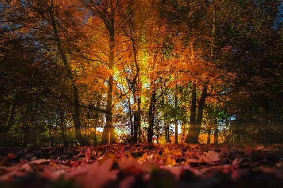 obrázek: Fotosoutěž Plzeň říká „Sýýýr“ má svého vítěze