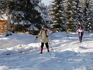 obrázek: Hitem běžkařské sezóny byla Šumavská magistrála 