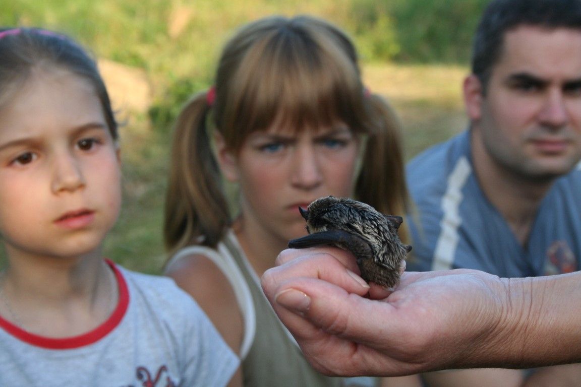 obrázek: Hlohovice na Rokycansku patřily táborníkům 