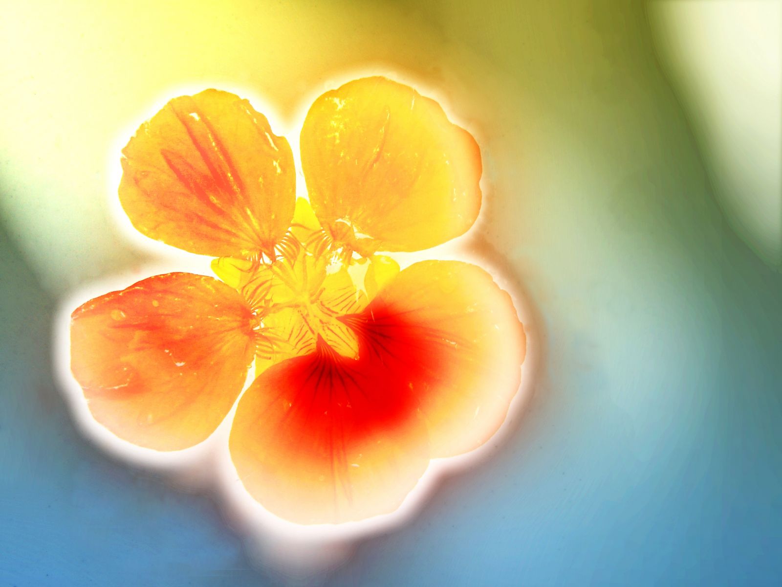 obrázek: Jak regenerovat síly pomocí oxygenoterapie?