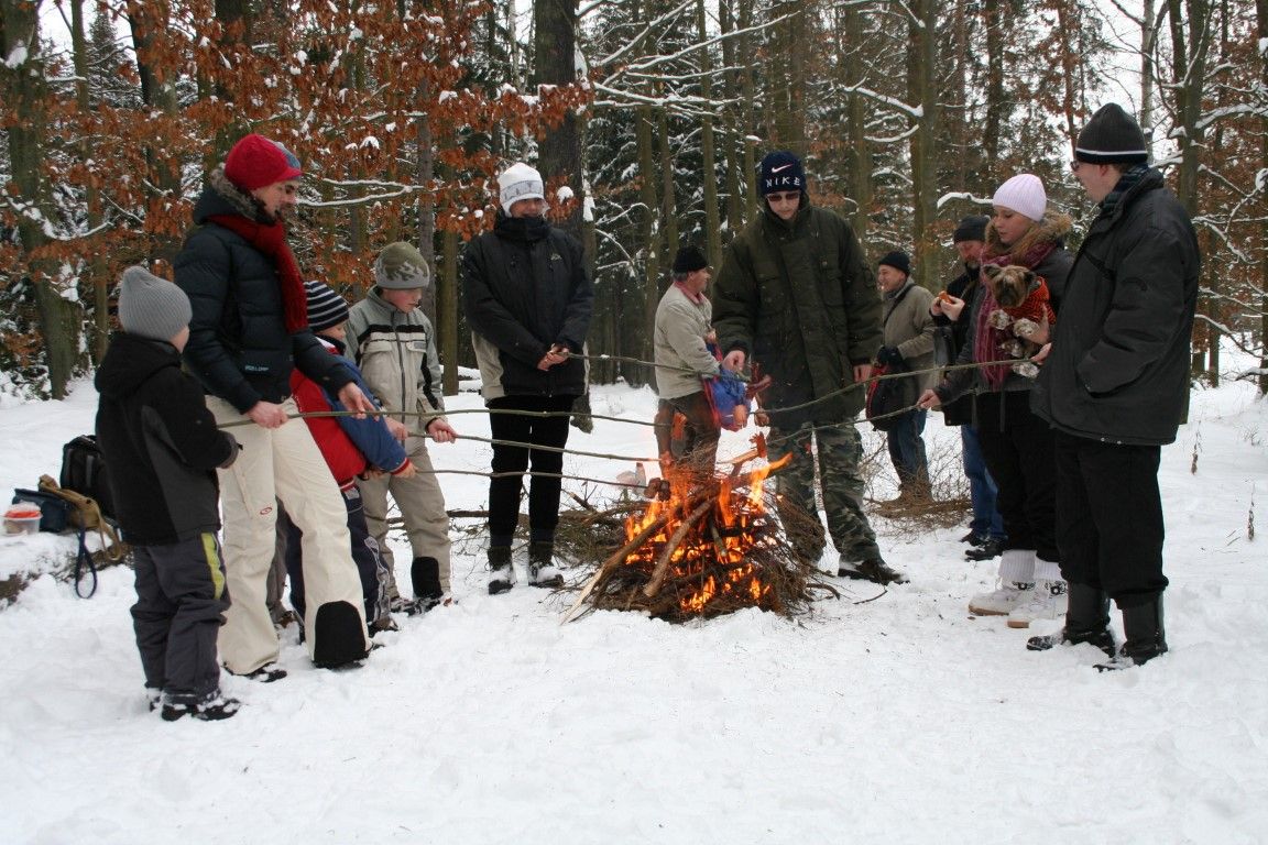 obrázek: Kokotské rybníky v sobotu přivítají ochranáře 