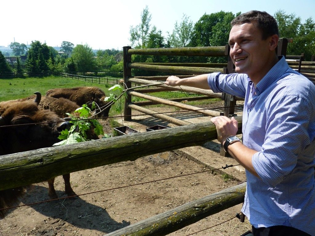 obrázek: Malí zubři z plzeňské zoo mají jména