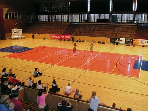 obrázek: Městská sportovní hala na Slovanech se na půl roku zavře 