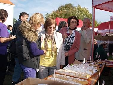 obrázek: Místní akční skupiny dostanou na akce dotace od kraje