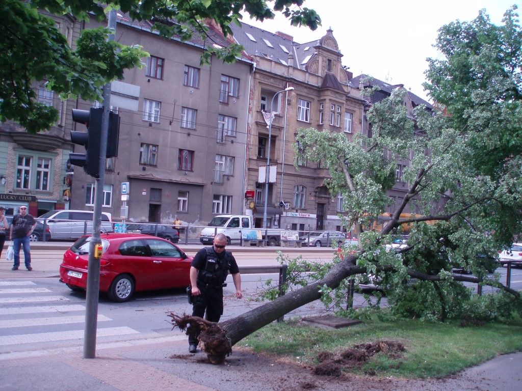 obrázek: Na Klatovské třídě v Plzni komplikoval provoz padlý strom