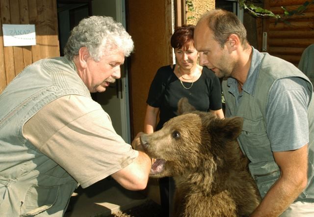 obrázek: Nejstaršímu medvědovi v ZOO Plzeň je 32 let