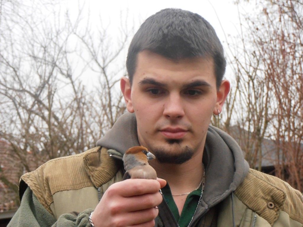 obrázek: Ptačí pacienti se vrátili zpátky do přírody 