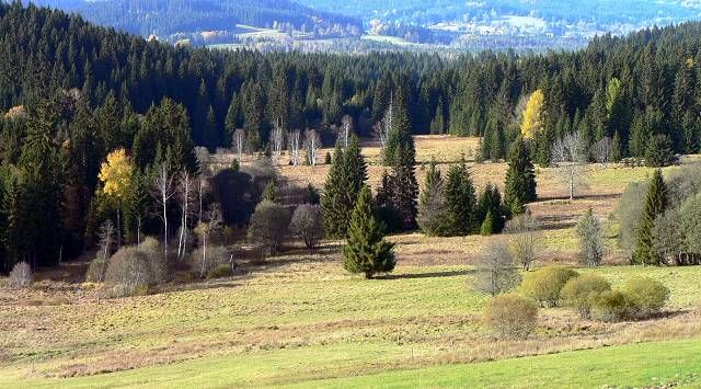 obrázek: O voličské průkazy byl rekordní zájem, nápor čeká Šumava