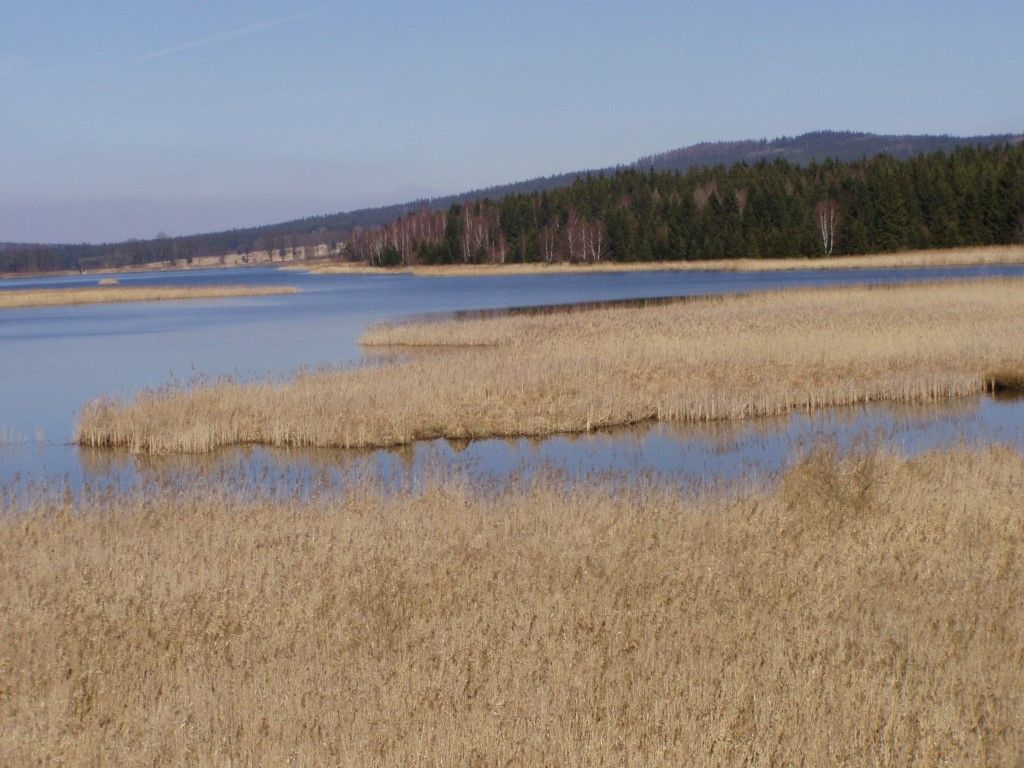 obrázek: Ochránci přírody vyrazí v sobotu na Padrťské rybníky 