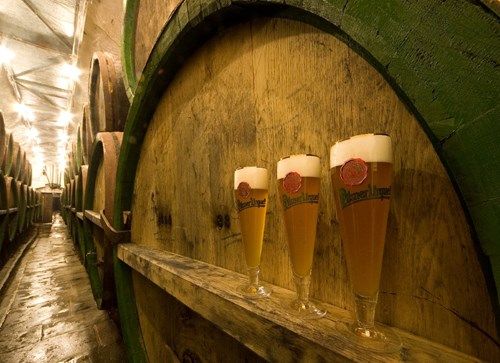obrázek: Páteční noc otevře kostely, muzea, podzemí i pivovar