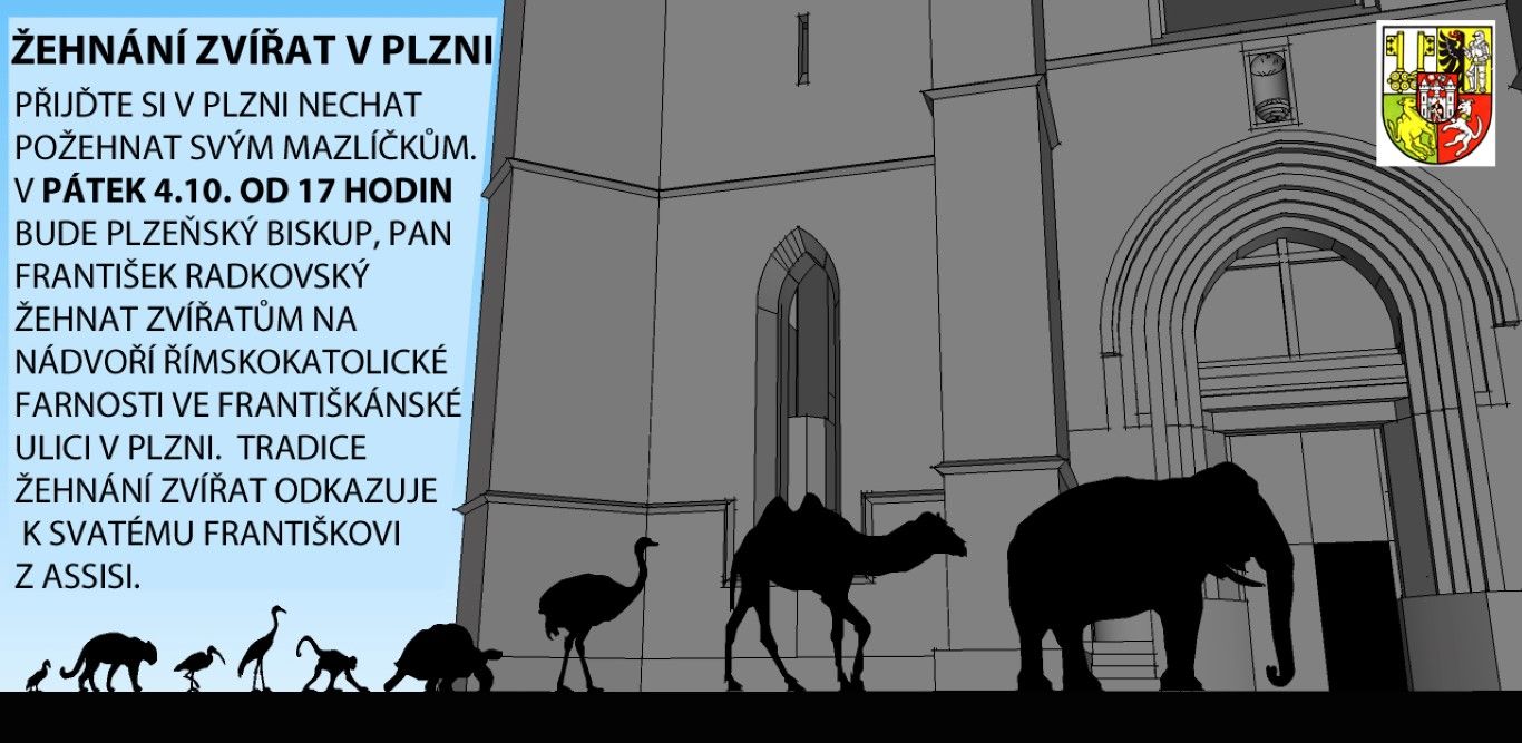 obrázek: Plzeň bude v pátek žehnat zvířatům (nejen) ze svého znaku