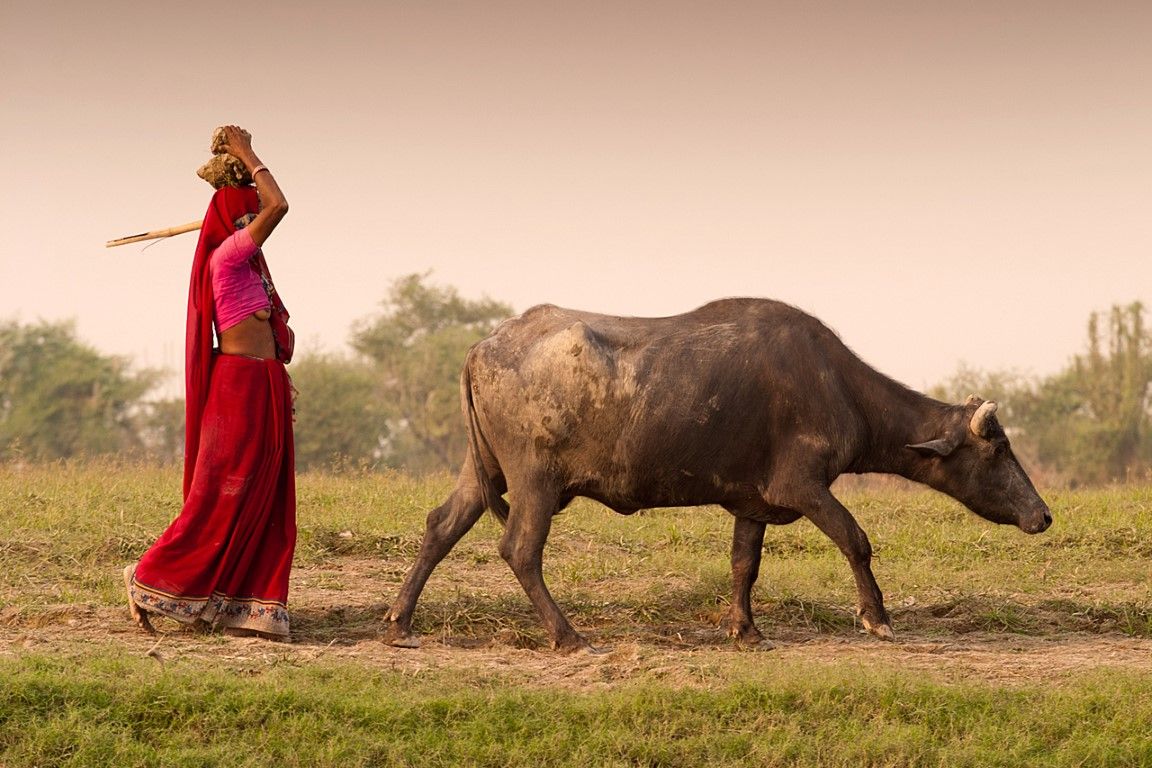 obrázek: Plzeňanka cestovala čtyřmi kontinenty. Nejlepší fotografie představí na výstavě
