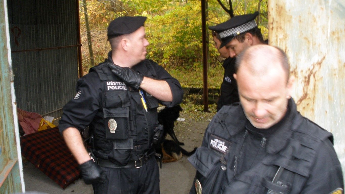 obrázek: Plzeňský zlodějíček chtěl před strážníky skočit ze střechy