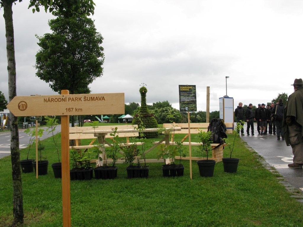 obrázek: Pražské děti dostaly pozvánku na sázení stromů na Šumavě