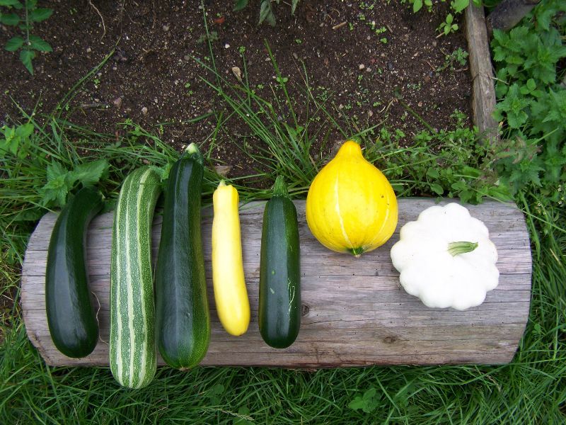 obrázek: Přijďte v sobotu na prusinský piknik 