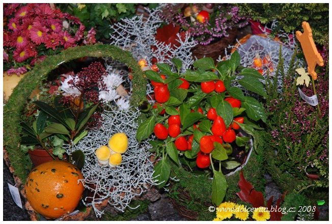 obrázek: Pulty květinářství v Plzeňském kraji už plní dušičkové zboží