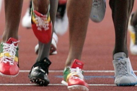 obrázek: Rok 2013 bude v Plzni štědrý pro sportoviště