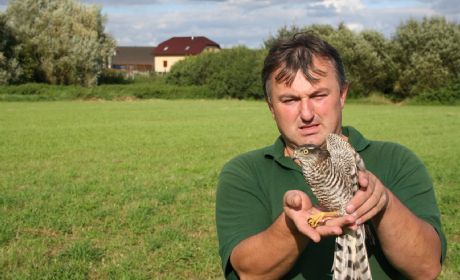 obrázek: Rokycanští ochránci zvou na vycházky, zájezdy i soutěže 