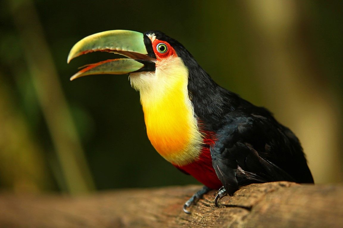 obrázek: S FOŤÁKEM ČTYŘMI KONTINENTY