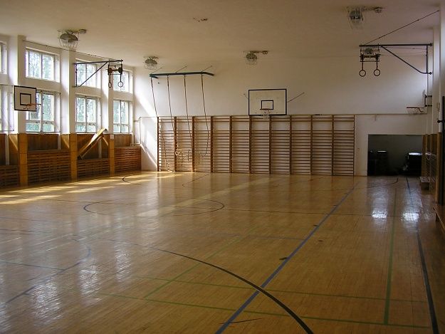 obrázek: Školy v Plzeňském kraji mají zisky z pronájmů tělocvičen