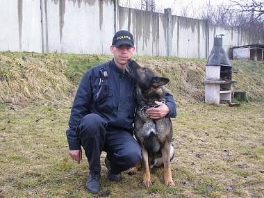 obrázek: Služební pes v Plzni vyčenichal zloděje, když táhl kočárek 