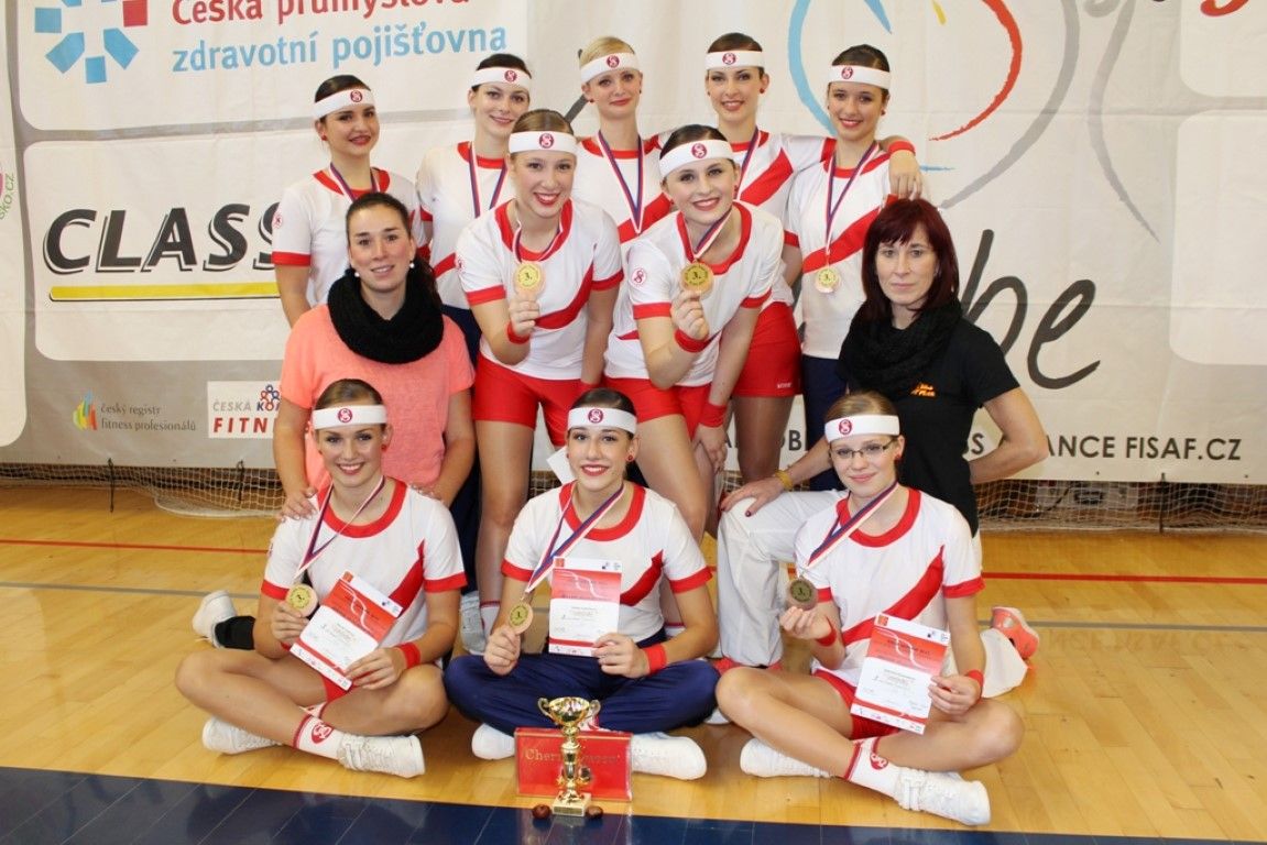 obrázek: Sokol bratr Saša a sokol bratr Slávek byli v podání AE klubu LADY bronzoví